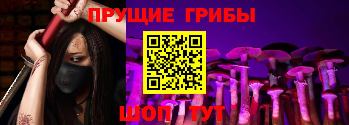 Псилоцибиновые грибы Psilocybe Сунжа